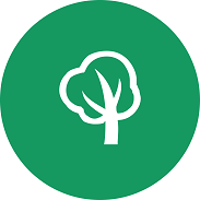 ECONOMÍA BAJA EN CARBONO