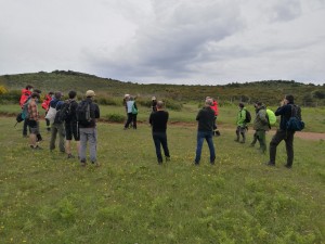 Jornadas finales del proyecto OPEN2PRESERVE
