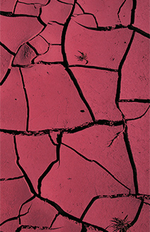 Objetivo 5b Melhoria da coordenação e da eficácia dos instrumentos de prevenção, de gestão de catástrofes e de reabilitação de zonas danificadas